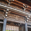 Meiji Jingu, ναός Σίντο